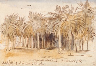 Salahiyeh tekijältä Edward Lear