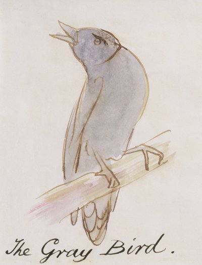 Harmaa lintu, teoksesta "Sixteen Drawings of Comic Birds" (kynä, muste ja wc paperilla) tekijältä Edward Lear