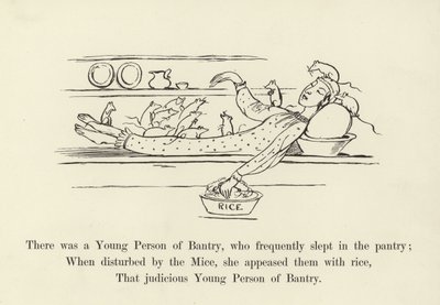 Siellä oli nuori Bantrysta, joka nukkui usein ruokakomerossa tekijältä Edward Lear