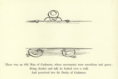 Siellä oli eräs Cashmere-vanha mies, jonka liikkeet olivat skroobisia ja outoja tekijältä Edward Lear
