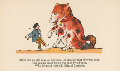 Olipa kerran Leghornin vanha mies, pienin koskaan syntynyt, Frederick Warne and Co:n julkaisemasta "A Book of Nonsense", Lontoo, n. 1875. tekijältä Edward Lear