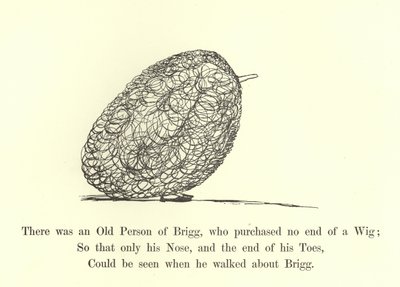 Oli eräs Briggin vanha henkilö, joka ei ostanut peruukkia tekijältä Edward Lear