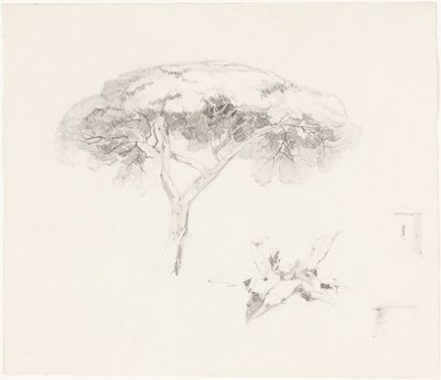 Sateenvarjomänty ja muita tutkimuksia tekijältä Edward Lear