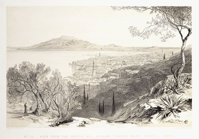 Näkymä linnakukkulasta kohti Monte Skopoa, Zante, 1863 tekijältä Edward Lear