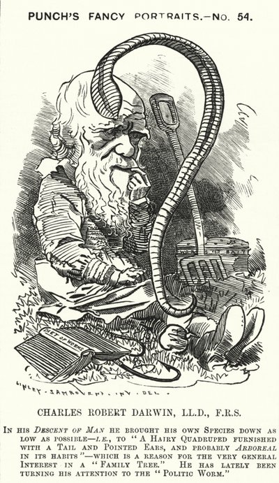 Punch-sarjakuva: Charles Darwin, englantilainen luonnontieteilijä ja biologi (kaiverrus) tekijältä Edward Linley (after) Sambourne