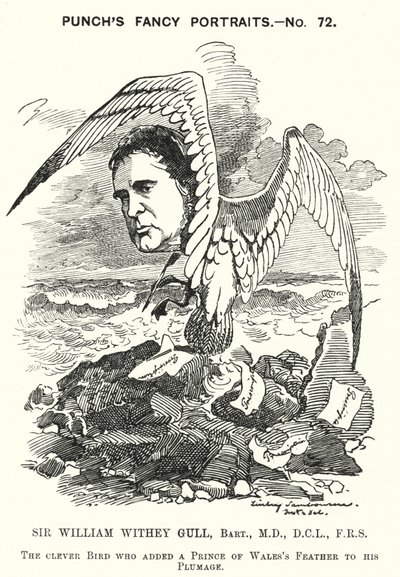 Punch-sarjakuva: Sir William Withey Gull, englantilainen lääkäri, joka hoiti Walesin prinssin lavantautia ja josta tuli kuningatar Victorian yleislääkäri (kaiverrus) tekijältä Edward Linley (after) Sambourne