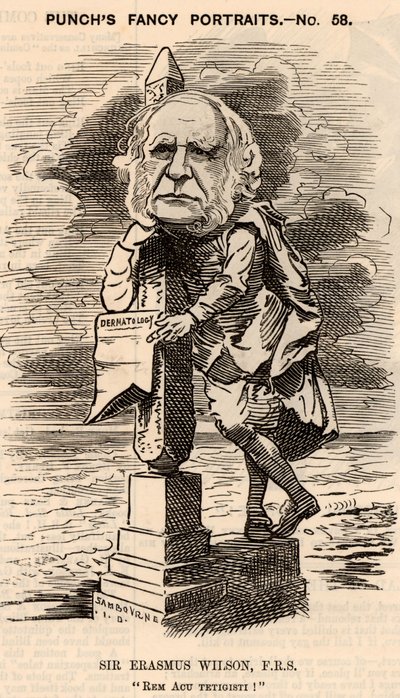 Erasmus Wilson (1809-1884) tekijältä Edward Linley Sambourne