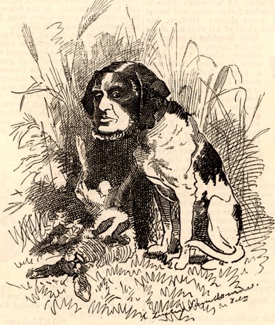 William GGV Vernon Harcourt (1827-1904) tekijältä Edward Linley Sambourne