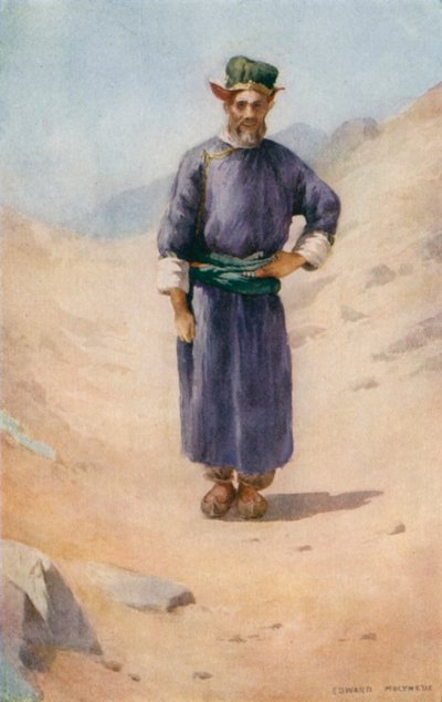 Ladaki kesäasussa tekijältä Edward Mary Joseph Molyneux