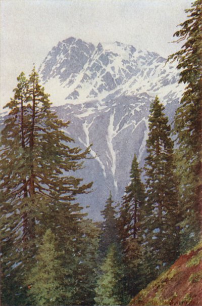 Kotwal metsästä Kanganin yllä, Sind Valley tekijältä Edward Mary Joseph Molyneux