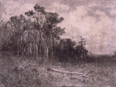 Maisema, Metsämaisema tekijältä Edward Mitchell Bannister