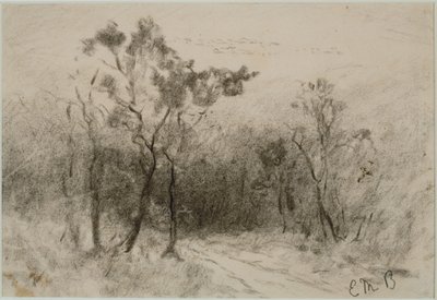 Maisema polulla (#51), c. 1880-luku (hiili paperilla) tekijältä Edward Mitchell Bannister