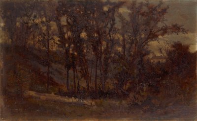 Nimetön metsänäkymä, kaatunut puu etualalla ja talo taustalla, 1873. tekijältä Edward Mitchell Bannister