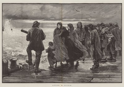 Myrskyn jälkeen tekijältä Edward Morant Cox
