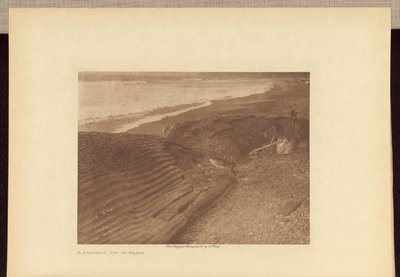 Osittain paloiteltu valas tekijältä Edward S. Curtis