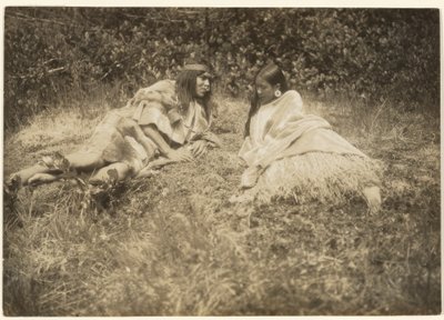 Minä valloitan neidon, ja rakkauden ja rikkauden sanat kosiskelevat häntä. tekijältä Edward S. Curtis