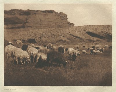 Salkku I, levy 33: Navaho-parvet tekijältä Edward S. Curtis