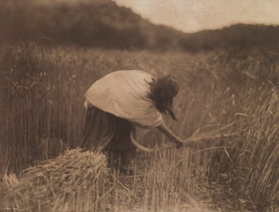 Apassiniittäjä tekijältä Edward S. Curtis