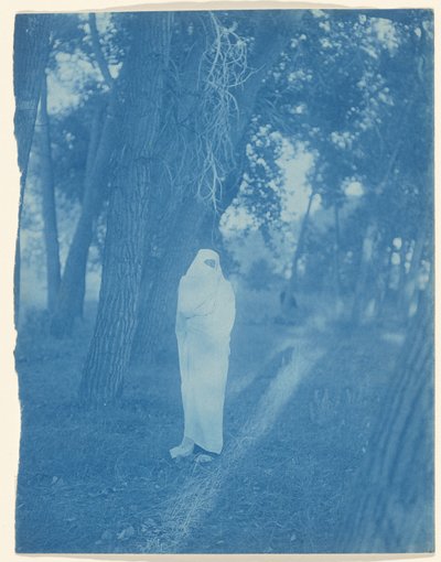Odotus metsässä – Cheyenne tekijältä Edward S. Curtis