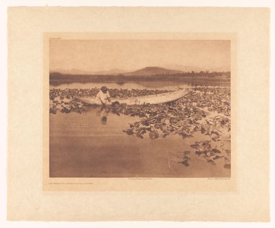 Wokien kerääminen – Klamath tekijältä Edward Sheriff Curtis