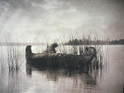 The Rush Gatherer, Montana (m/v kuva) tekijältä Edward Sheriff Curtis