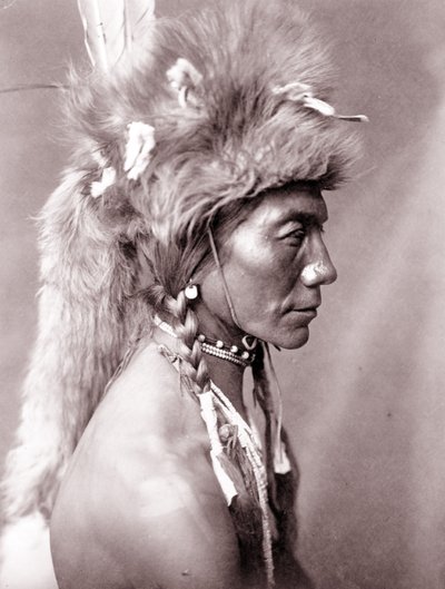 Keltainen munuainen, Piegan tekijältä Edward Sheriff Curtis