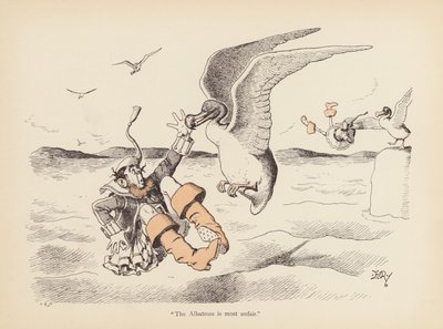 Hännät kierteellä: Albatross (väri litho) tekijältä Edward Tennyson Reed