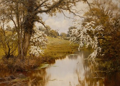 Missä Spreading Hawthorns Gaily Bloom (öljy kankaalle) tekijältä Edward Wilkins Waite