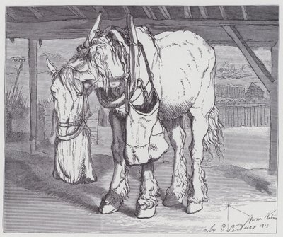 Kärryjen hevonen tekijältä Edwin (after) Landseer