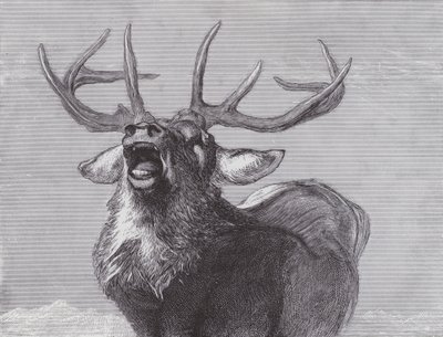 Haaste tekijältä Edwin (after) Landseer