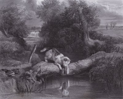 Koira ja varjo (kaiverrus) tekijältä Edwin (after) Landseer