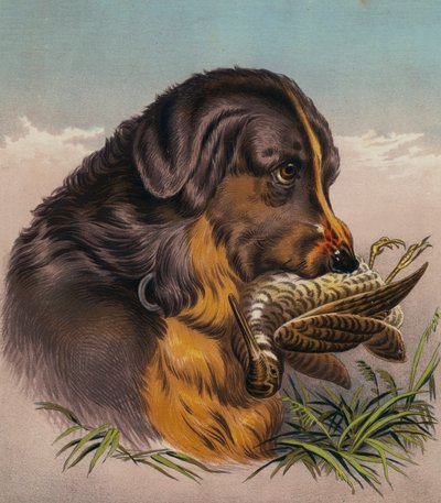 Noutaja (värilitro) tekijältä Edwin (after) Landseer