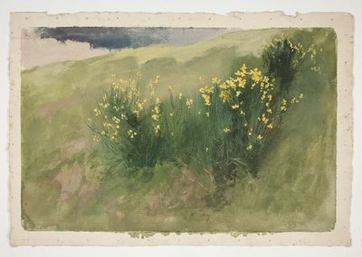 Maisema luonnonkukkien kanssa tekijältä Edwin Austin Abbey