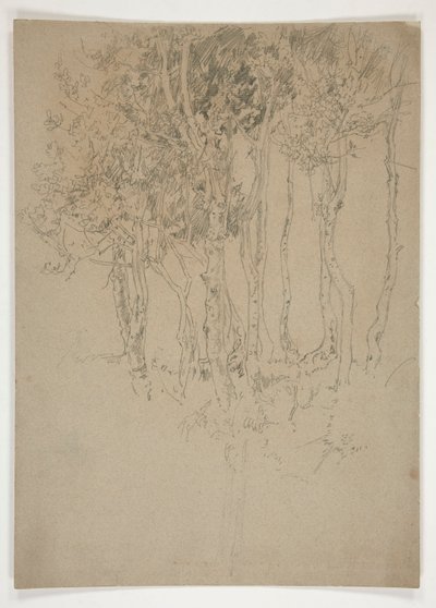 Luonnos puulehdosta tekijältä Edwin Austin Abbey
