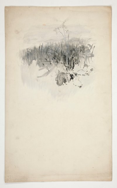 Luonnos nuoresta puusta, pellosta tekijältä Edwin Austin Abbey
