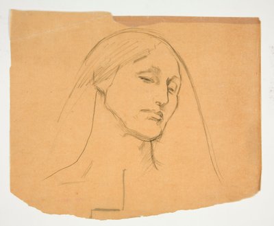Tutkimus naisesta tekijältä Edwin Austin Abbey