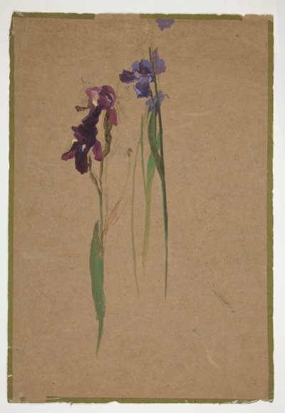 Iristutkimus tekijältä Edwin Austin Abbey
