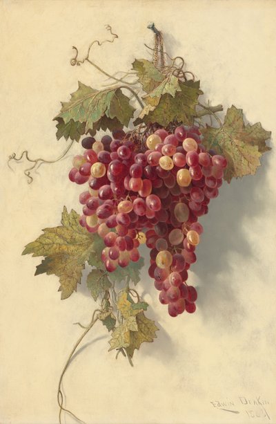Viinirypäleet valkoista seinää vasten, 1883. tekijältä Edwin Deakin