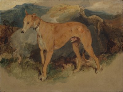 Deerhound, 1826. tekijältä Edwin Landseer