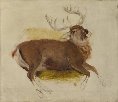 Dying Stag, n. 1830. tekijältä Edwin Landseer