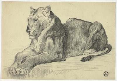 Naarasleijona tekijältä Edwin Henry Landseer