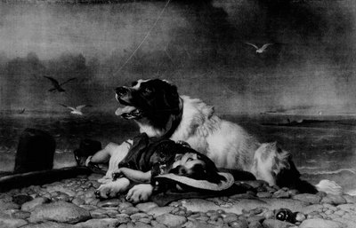 Pelastettu!, c1856, 1911 tekijältä Edwin Landseer