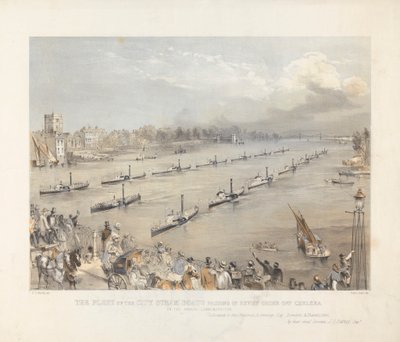 The Fleet of the City Steam Boats Passing in Review Tilaa Chalsea Lontoon vuosittaisessa muistojuhlissa tekijältä Edwin Jewitt