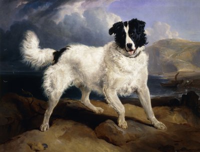 Muotokuva Neptunuksesta, 1824 tekijältä Edwin Landseer