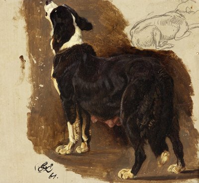 Collie Bitch (öljy & kynä kortilla) tekijältä Edwin Landseer