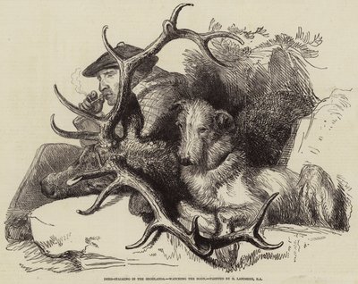 Deer-Stalking Highlands, katselee Body tekijältä Edwin Landseer