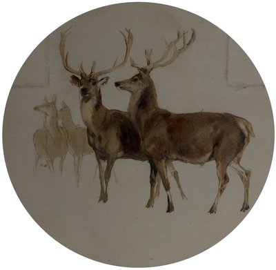 Deer in a Landscape (Studies of Deer) tekijältä Edwin Landseer