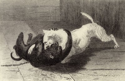 Esimerkki X, koira taistelee apinan kanssa tekijältä Edwin Landseer