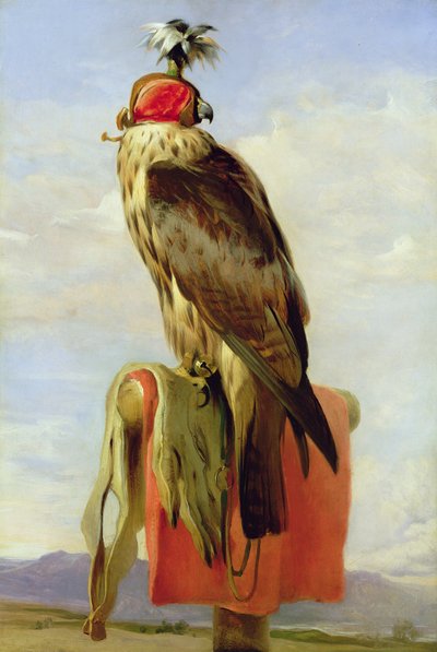 Hupullinen Falcon tekijältä Edwin Landseer