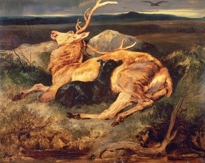 Stag tekijältä Edwin Landseer
